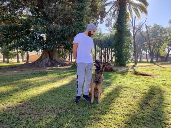 Abierto el nuevo parque canino de Cádiz